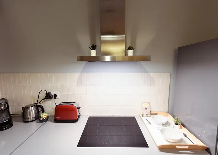 Appartement Tres Bel Neuf Quartier Opera Bastille National De Et Atelier Des Lumieres *